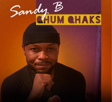 Qhum Qhaks album cover